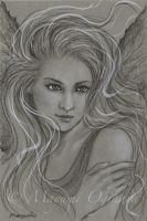 Storm Fairy